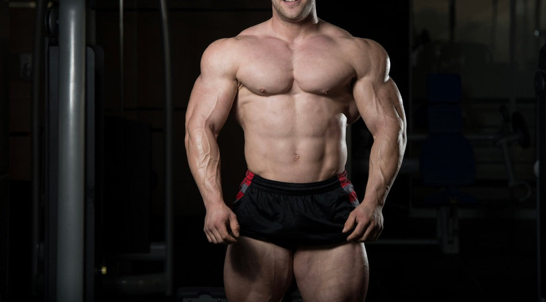 Creatine Monohydrate: A Simple Guide to Strength, Performance, and Progress