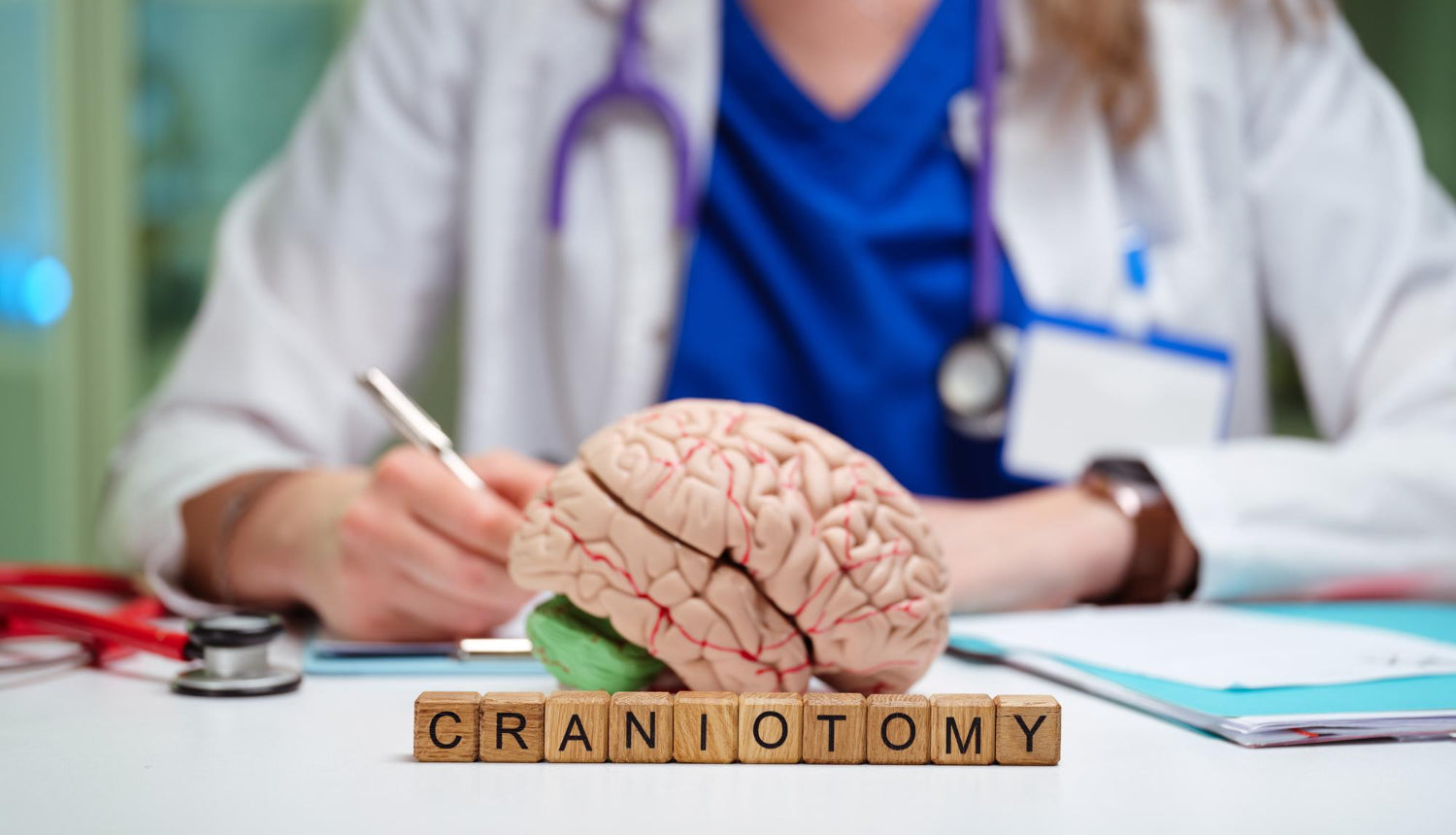 Brain Function and cognitive