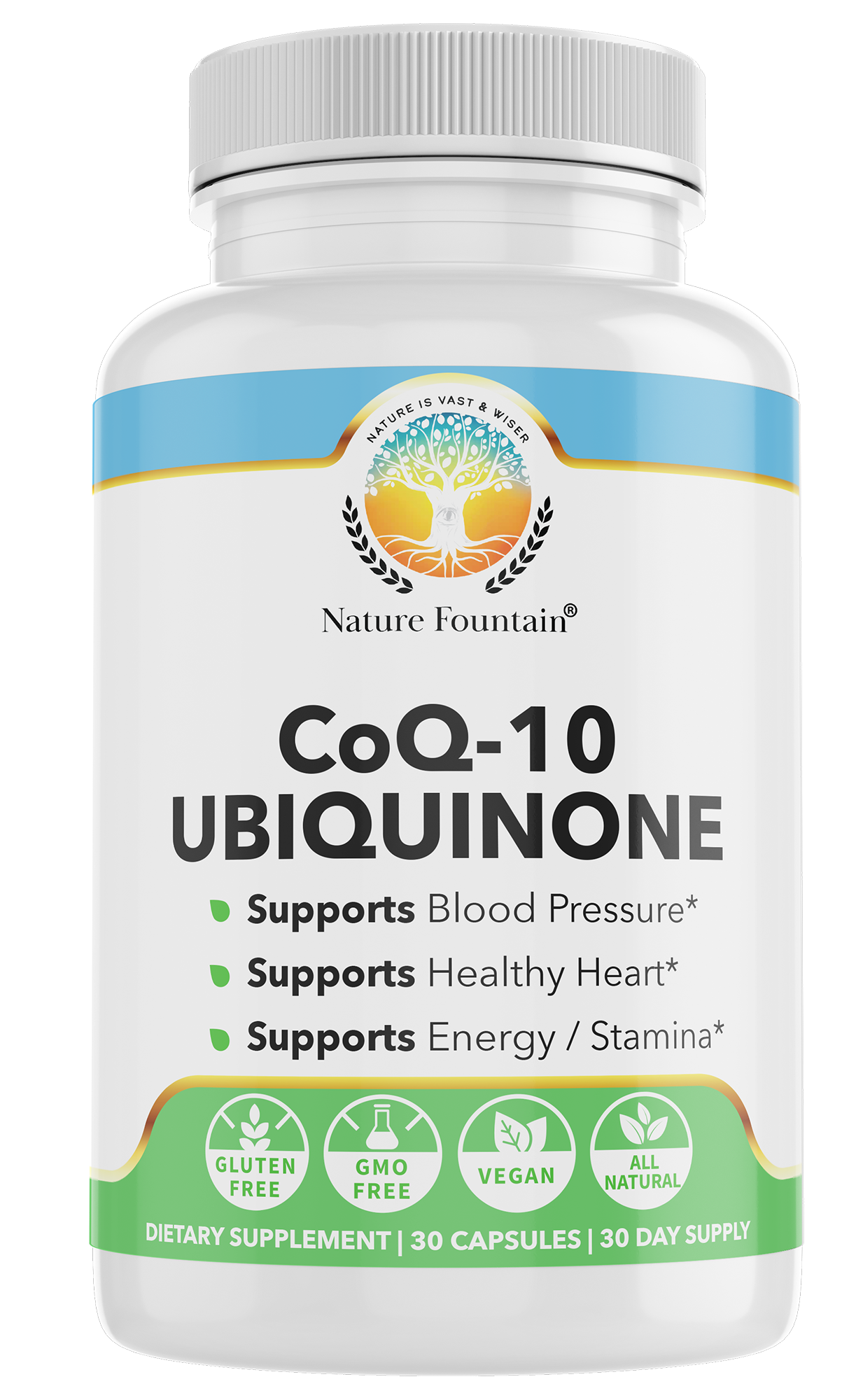 CoQ10 Ubiquinone
